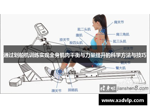 通过划船机训练实现全身肌肉平衡与力量提升的科学方法与技巧