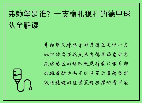 弗赖堡是谁？一支稳扎稳打的德甲球队全解读